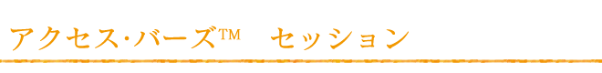 アクセスバーズセッション